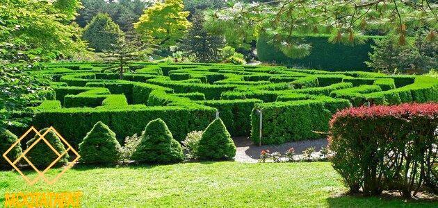 حدائق ملبورن النباتية الملكية