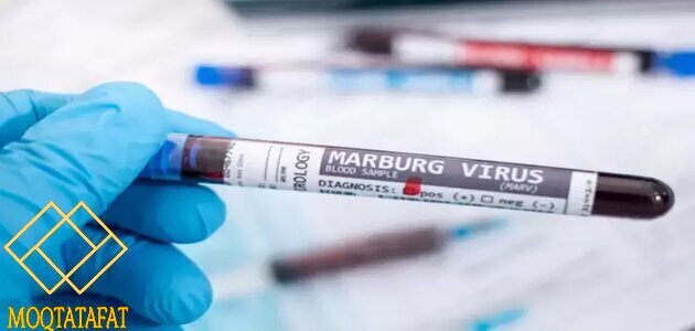 تفشي فيروس ماربورغ الجديد